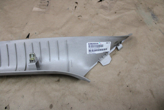 05-10 Chrysler 300 Passenger RH Front A-Pillar Trim Panel OEM 0UM03BDXAE