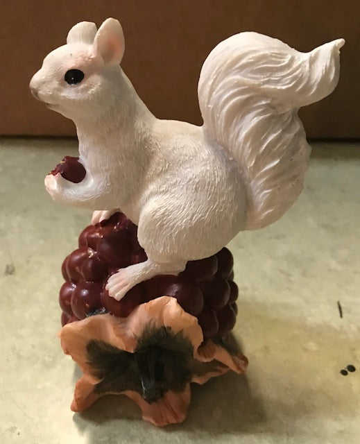 White Squirrel Perched on a pomegranate side view showing the stem of the pomegranate details.