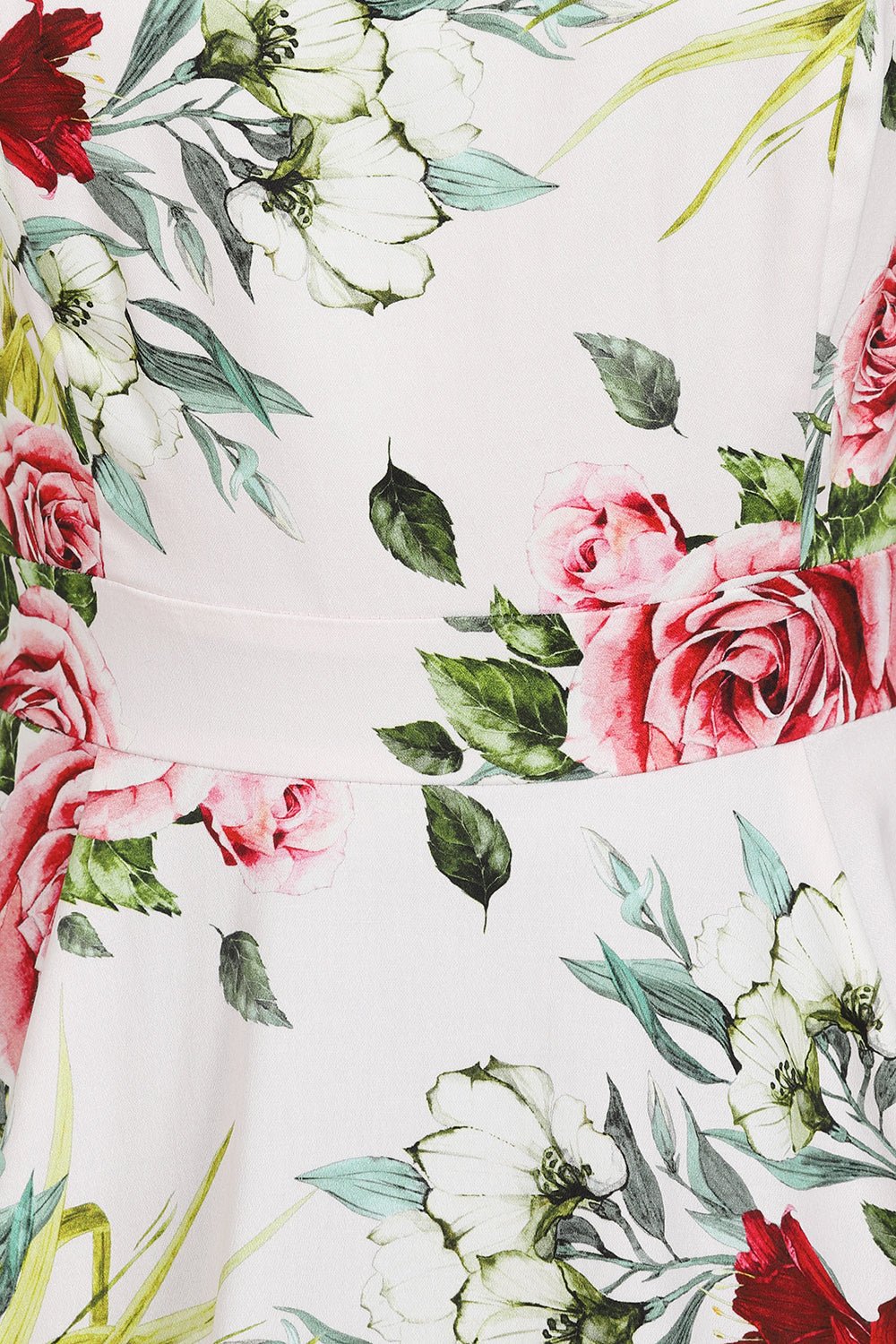 Floral Print Carole Swing Dress