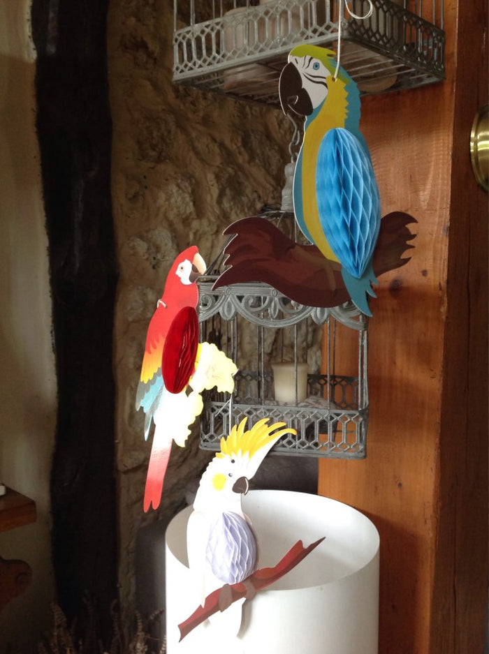 3pcs - Honeycomb Parrots