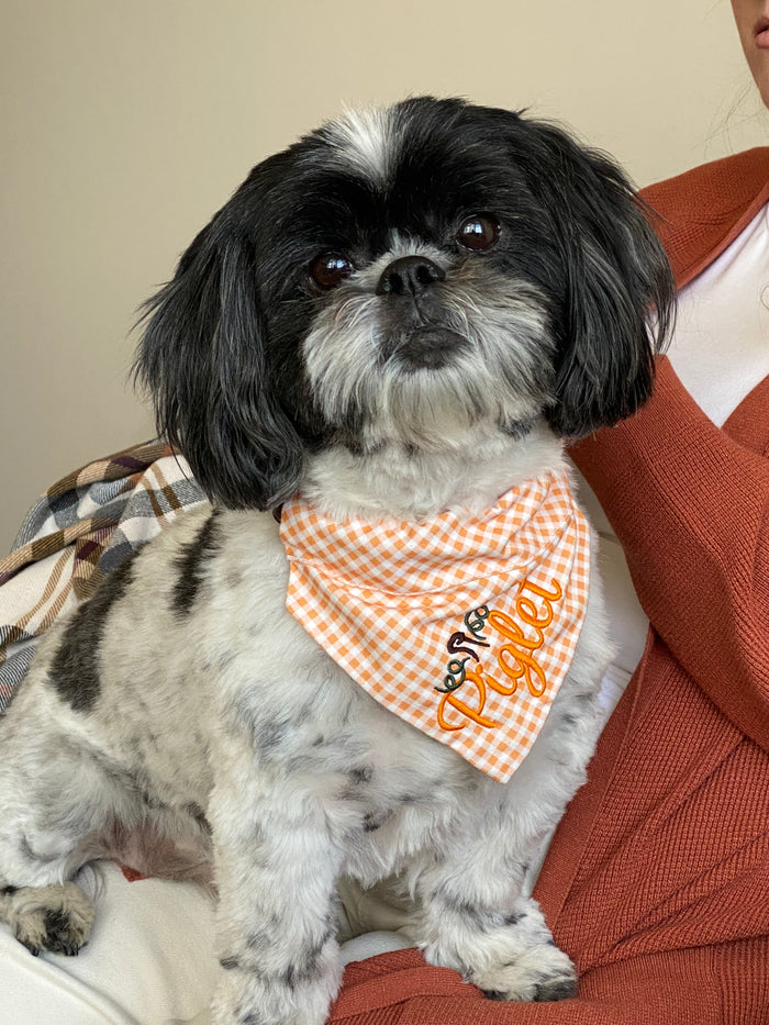 Subtly Salmon Dog Bandana