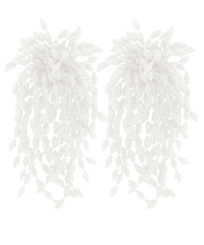 Bead Fringe Long Earrings