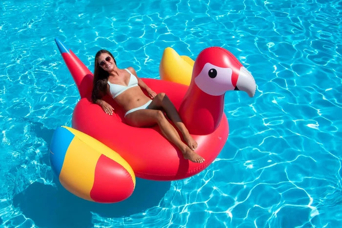 Giant Parrot Pool Float - Great Backyard Place