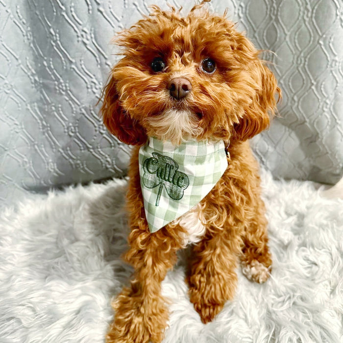 Subtly Salmon Dog Bandana