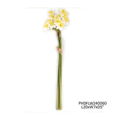 Sunshine Narcissus Bunch Box/24